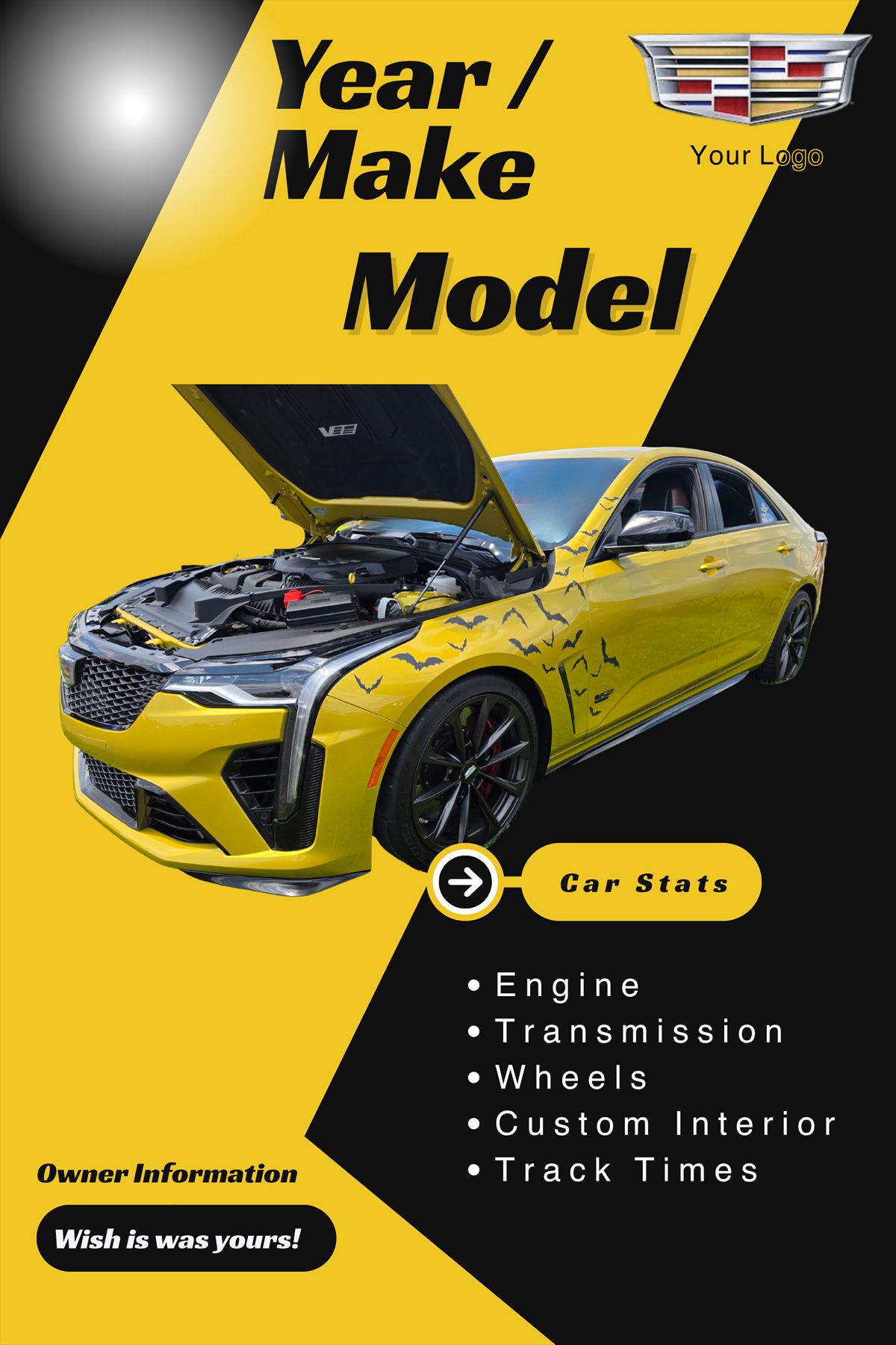 Custom Stinger car show display board with vehicle photos and performance specifications